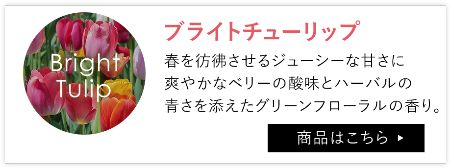 ブライトチューリップ