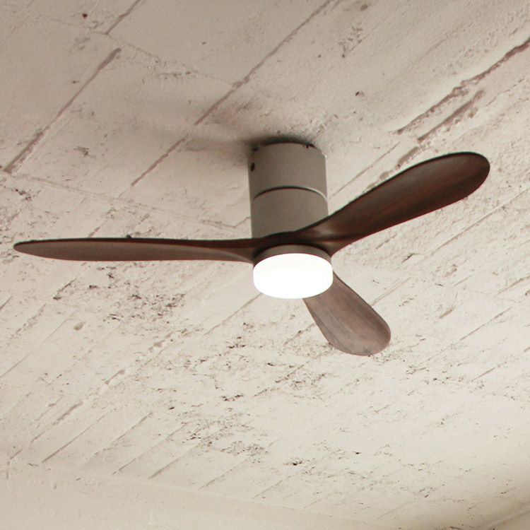 保証5年】JE-CF017D JAVALO ELF(ジャバロエルフ) Modern Collection